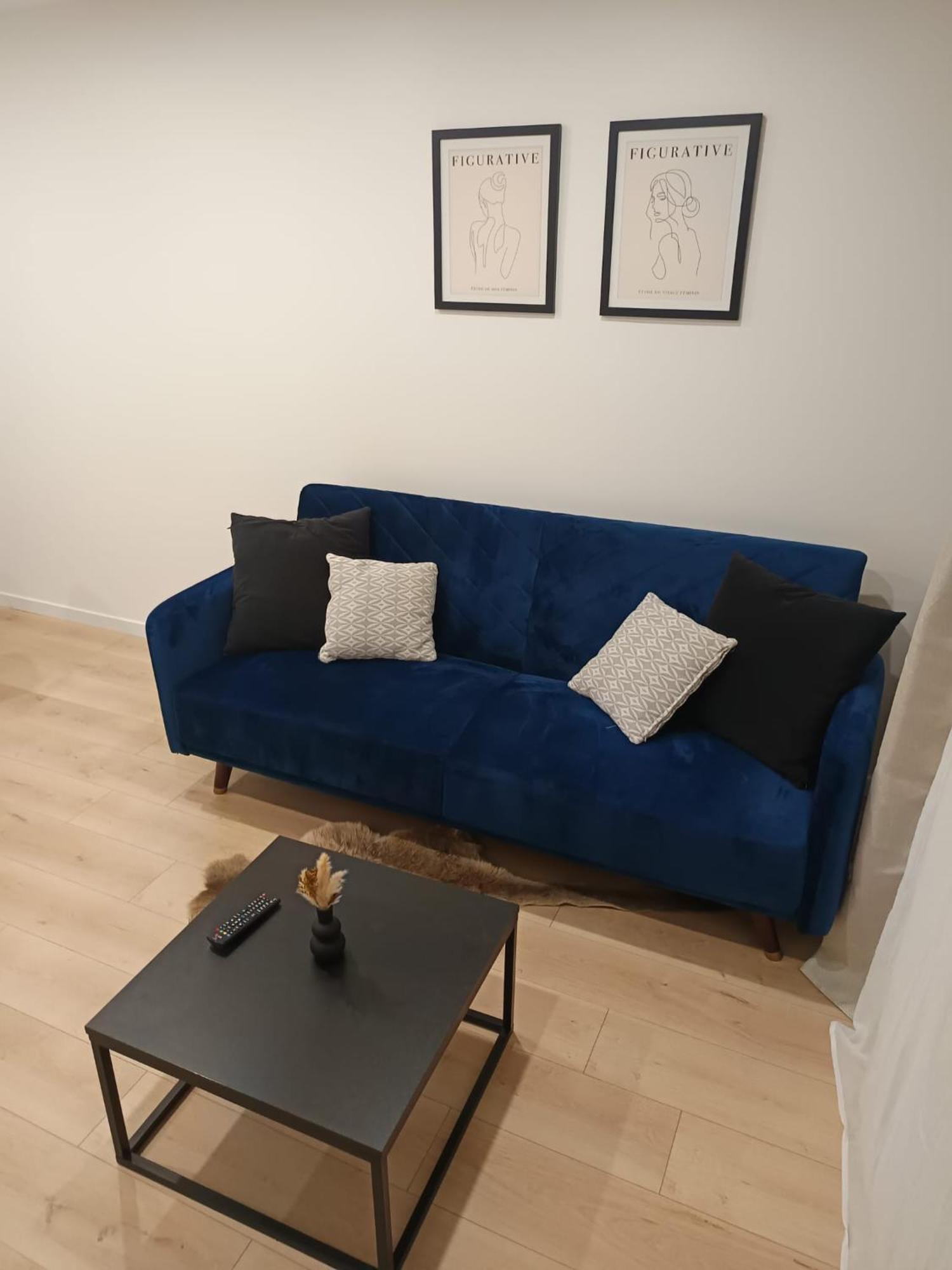 Superbe Appartement ! Saint-Etienne  Kültér fotó